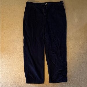 John Blair Men's Deep Blue Corduroy Pants